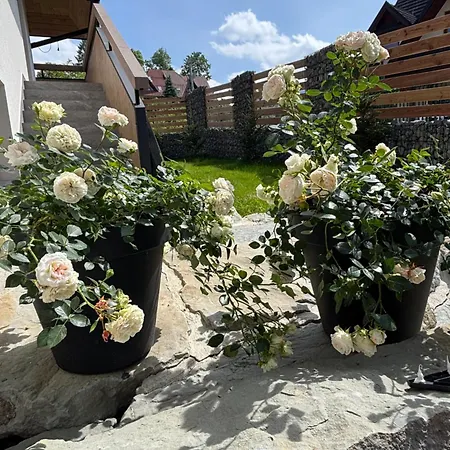 Zakatek Privatunterkunft *