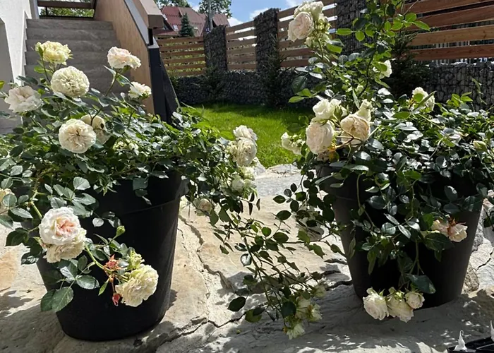 Zakatek Rum i privatbostad *